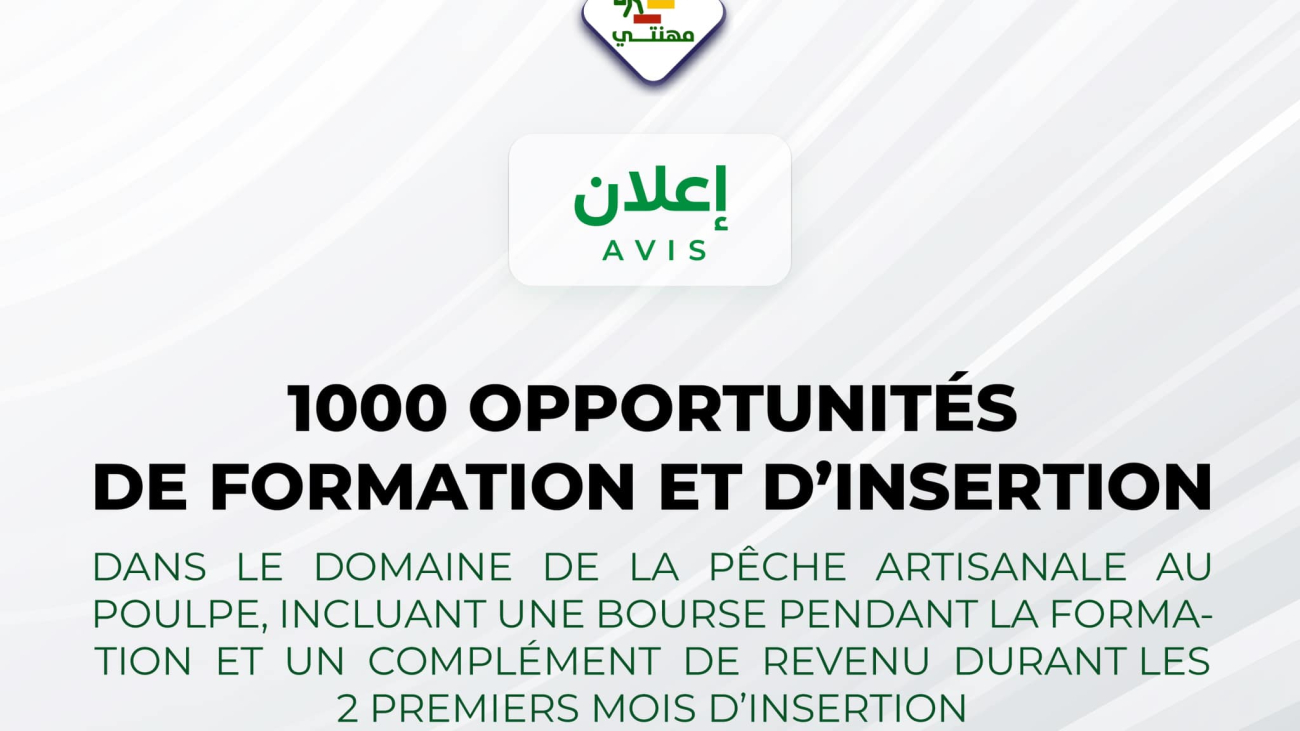 1000 opportunites