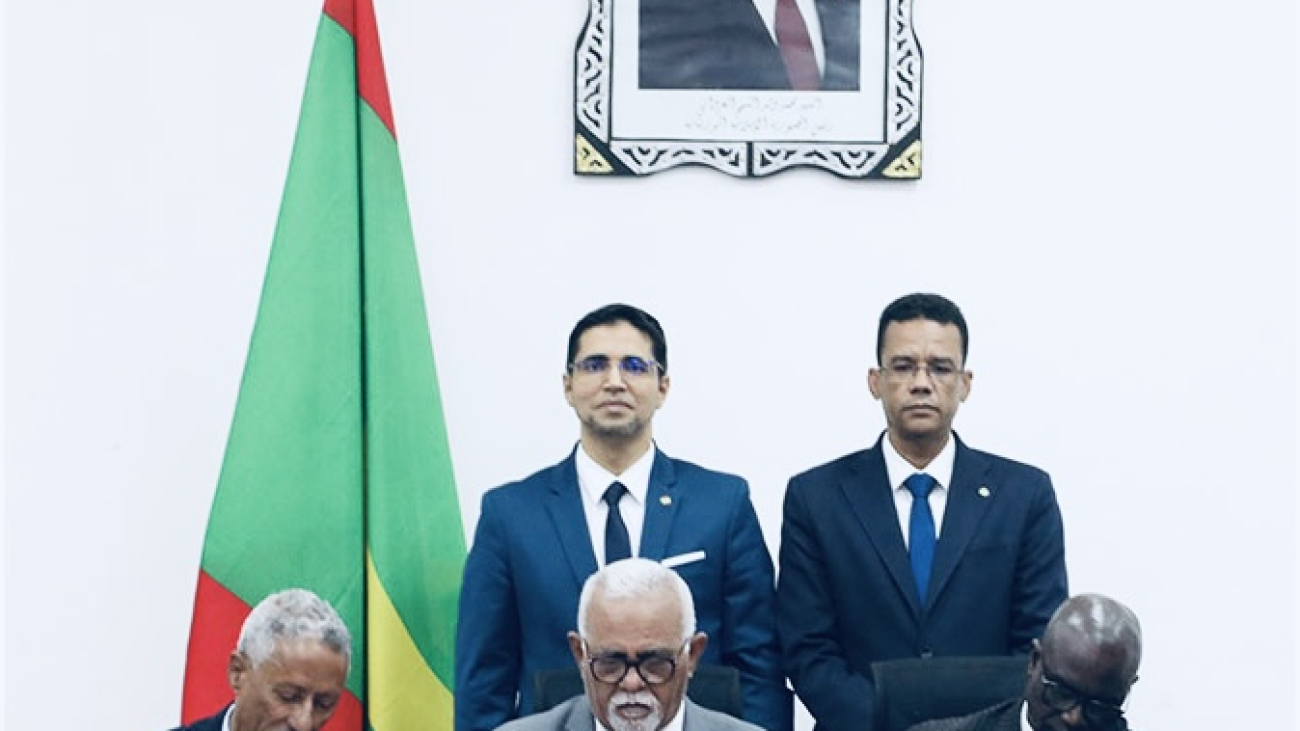 بروتوكول صيد الاخطبوط
